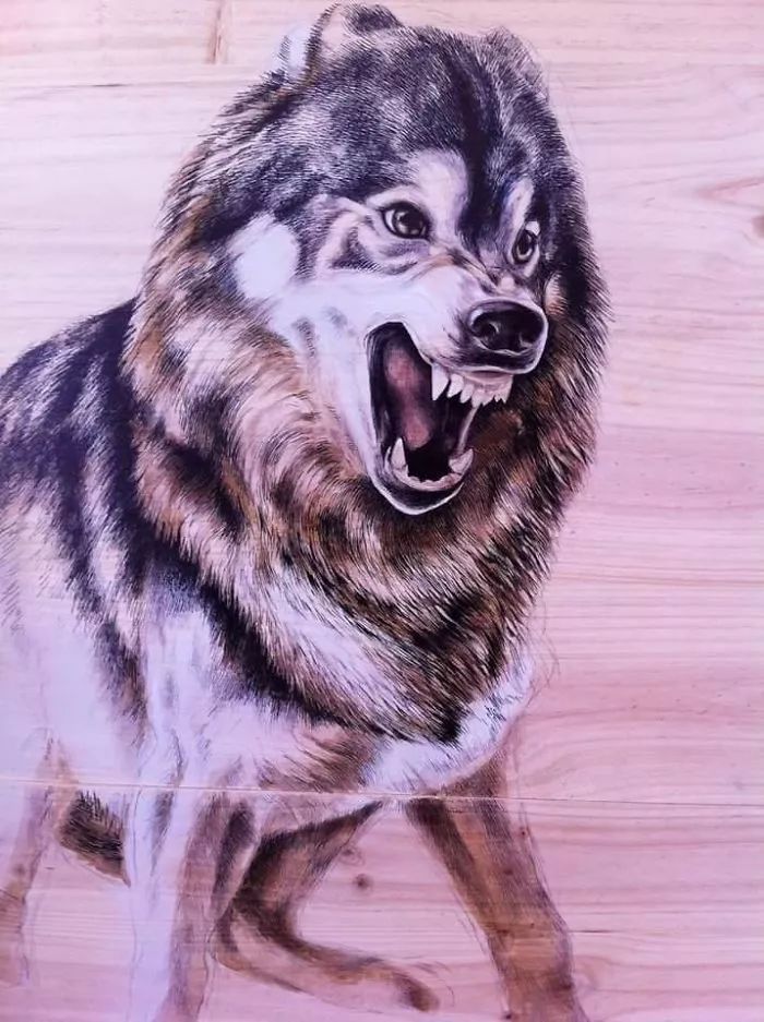 3d立体画写实彩铅,超写实彩铅手绘细腻的让人咋舌