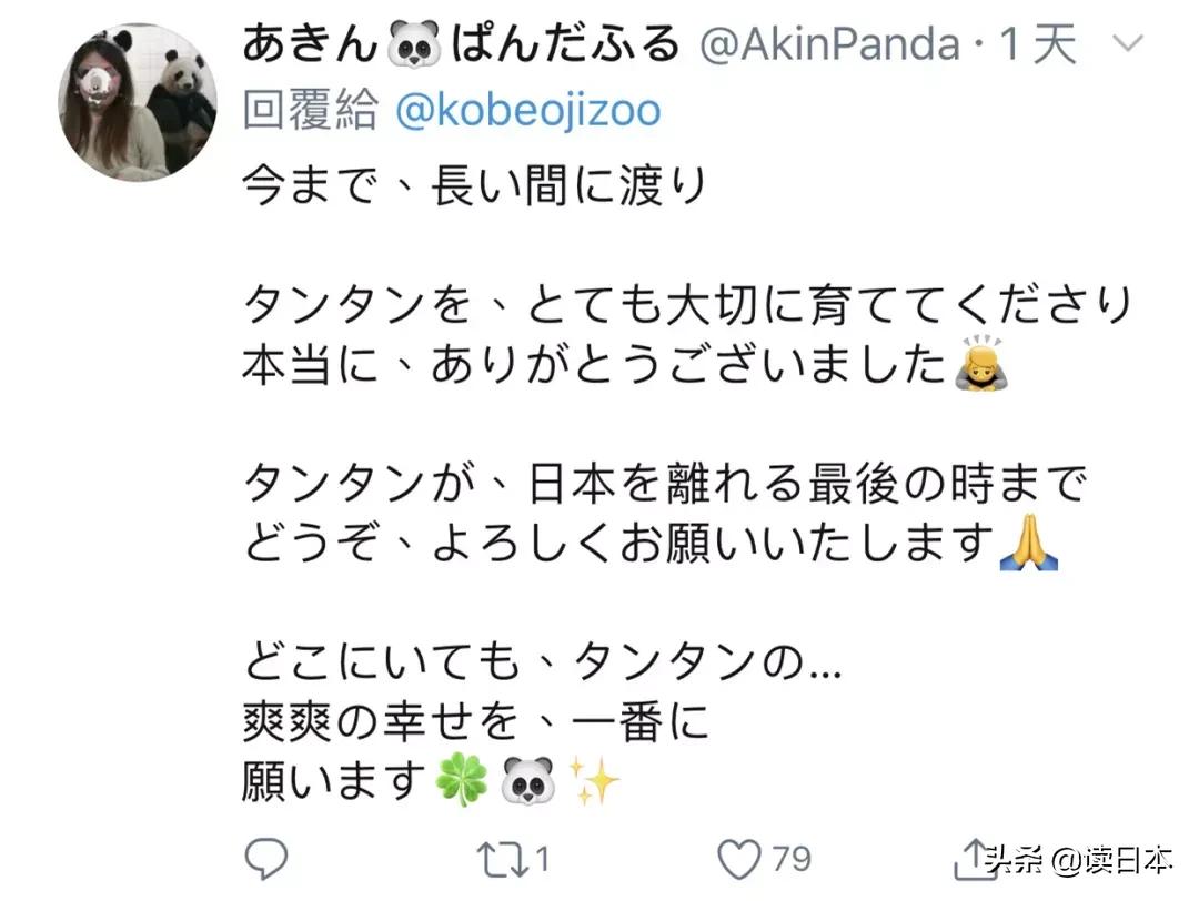 日本的顶级流量担当者大熊猫！日本人的熊猫情结疯狂到你想不到