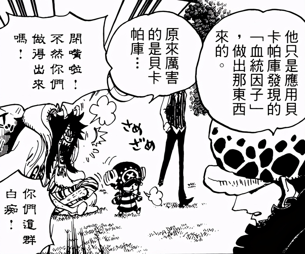 剧情分析海贼王,海贼王剧情解析最新