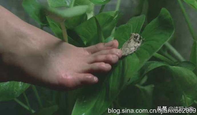 李建学,李建学最新散文