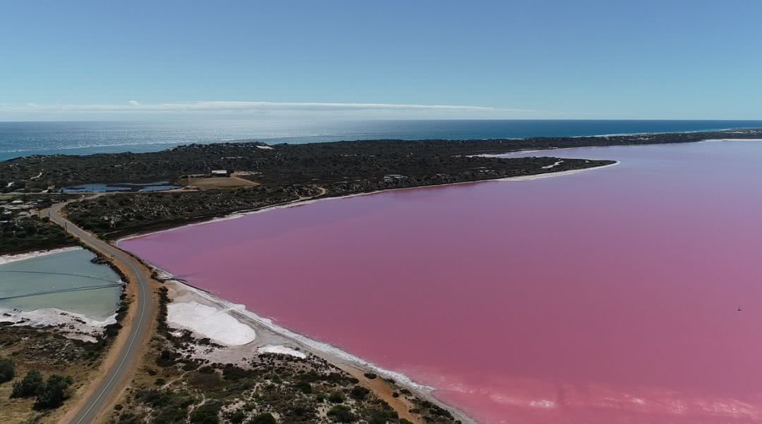 这地方是男人天堂,我们的大宝马也怕了