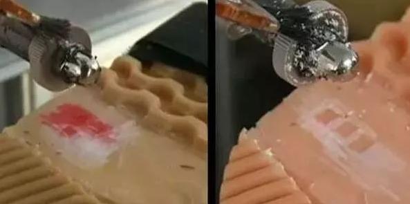 豹的速度,豹的速度原视频