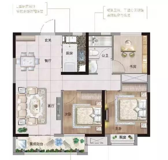 青菱五姐妹现状,白沙洲青菱现状