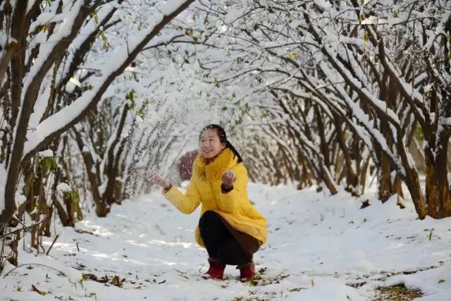 颜值爆城！云龙湖边的这所高校，今年要提前招你...