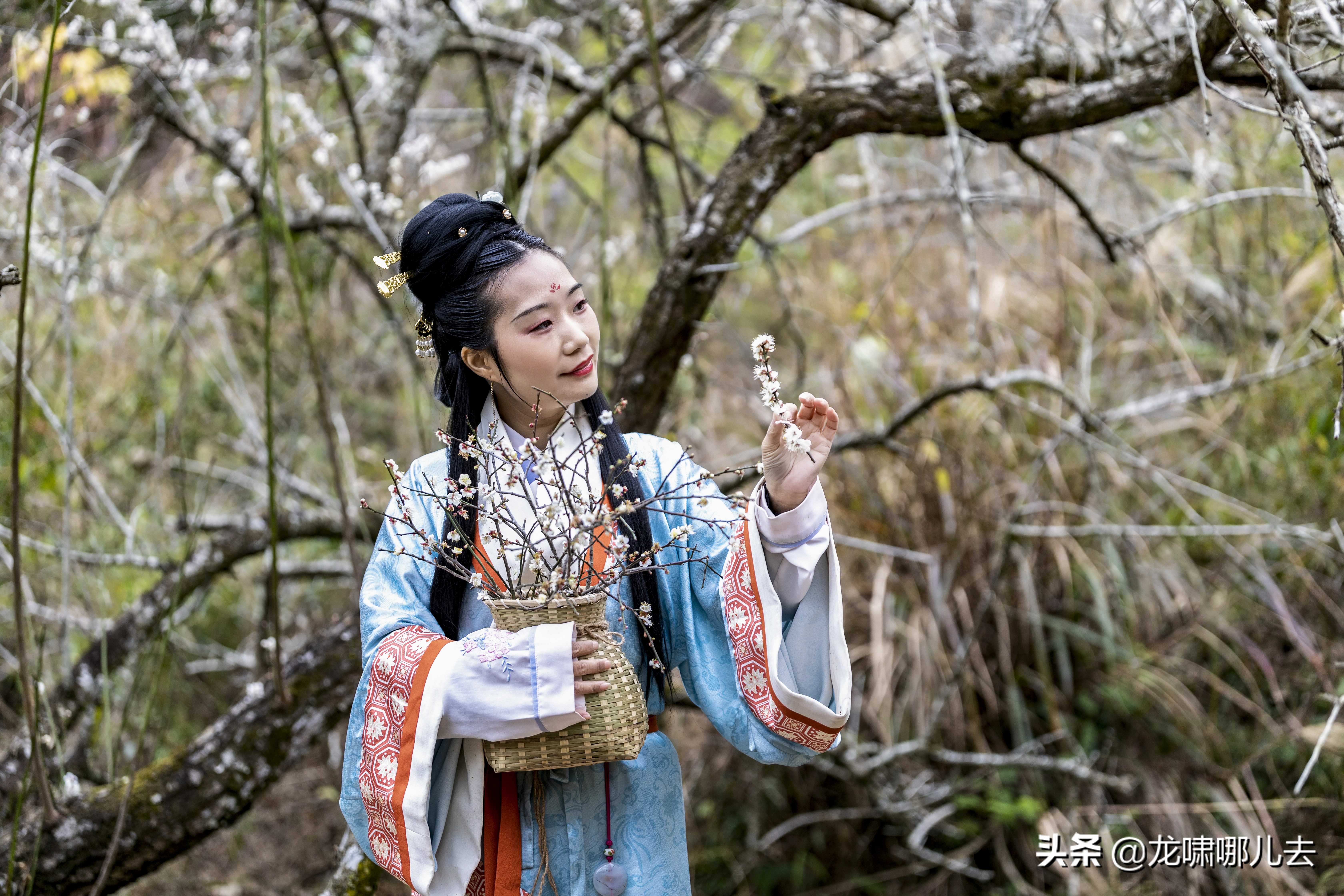 梁化梅园梅花观赏最佳时间,惠州梁化梅园看梅花时间