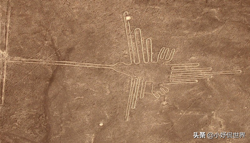 5个在谷歌地图上拍到的神秘生物,谷歌地图卫星拍摄到的神秘图片