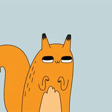 动物的英文词汇汇总,你最喜欢哪种动物?