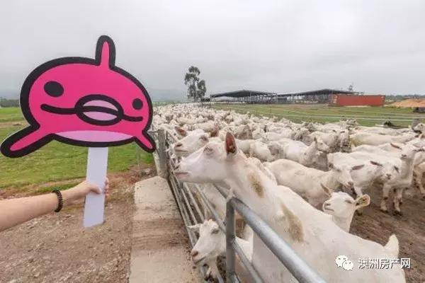 跨境电商十大平台公司,跨境电商澳洲平台有哪些