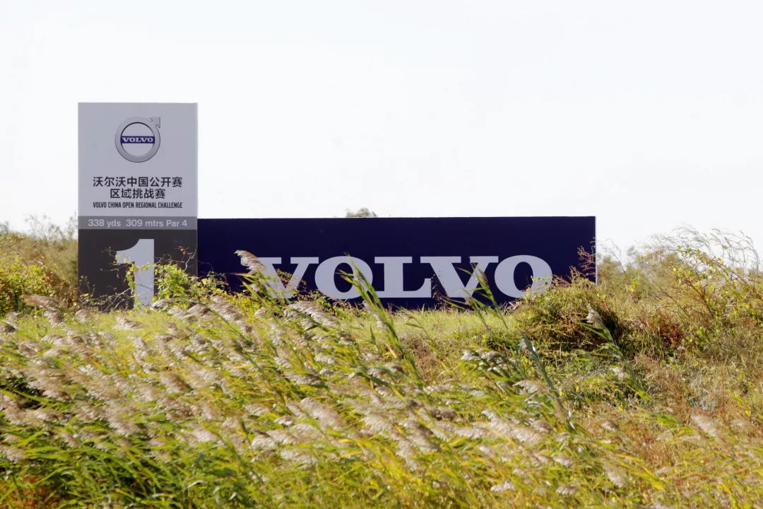 昊桐因新规丢60万；罗斯换杆后首胜；科学家大胜；高博会各种高潮