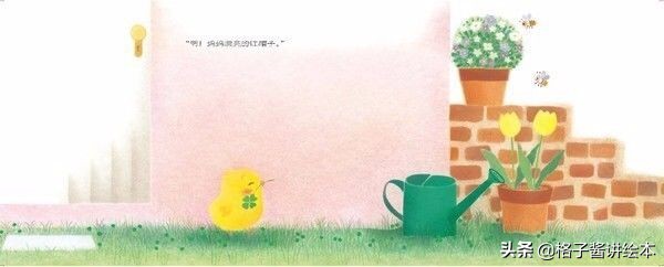 绘本推荐小鸡球,小鸡球球幼儿园绘本推荐卡