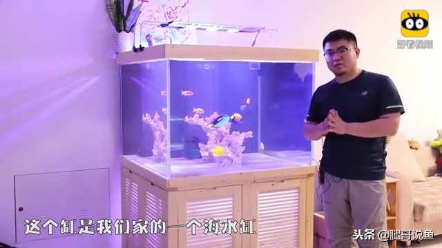 大缸什么过滤效果最好,什么过滤方式小缸效果最佳