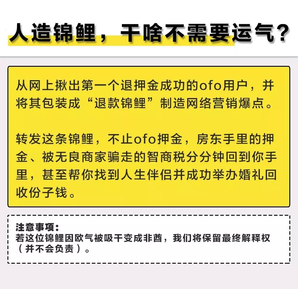 ofo快速退押金天天返现,ofo充值如何退款