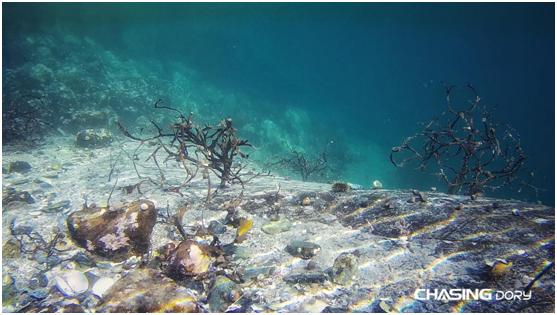 潜行多睿值不值得买,潜行多睿