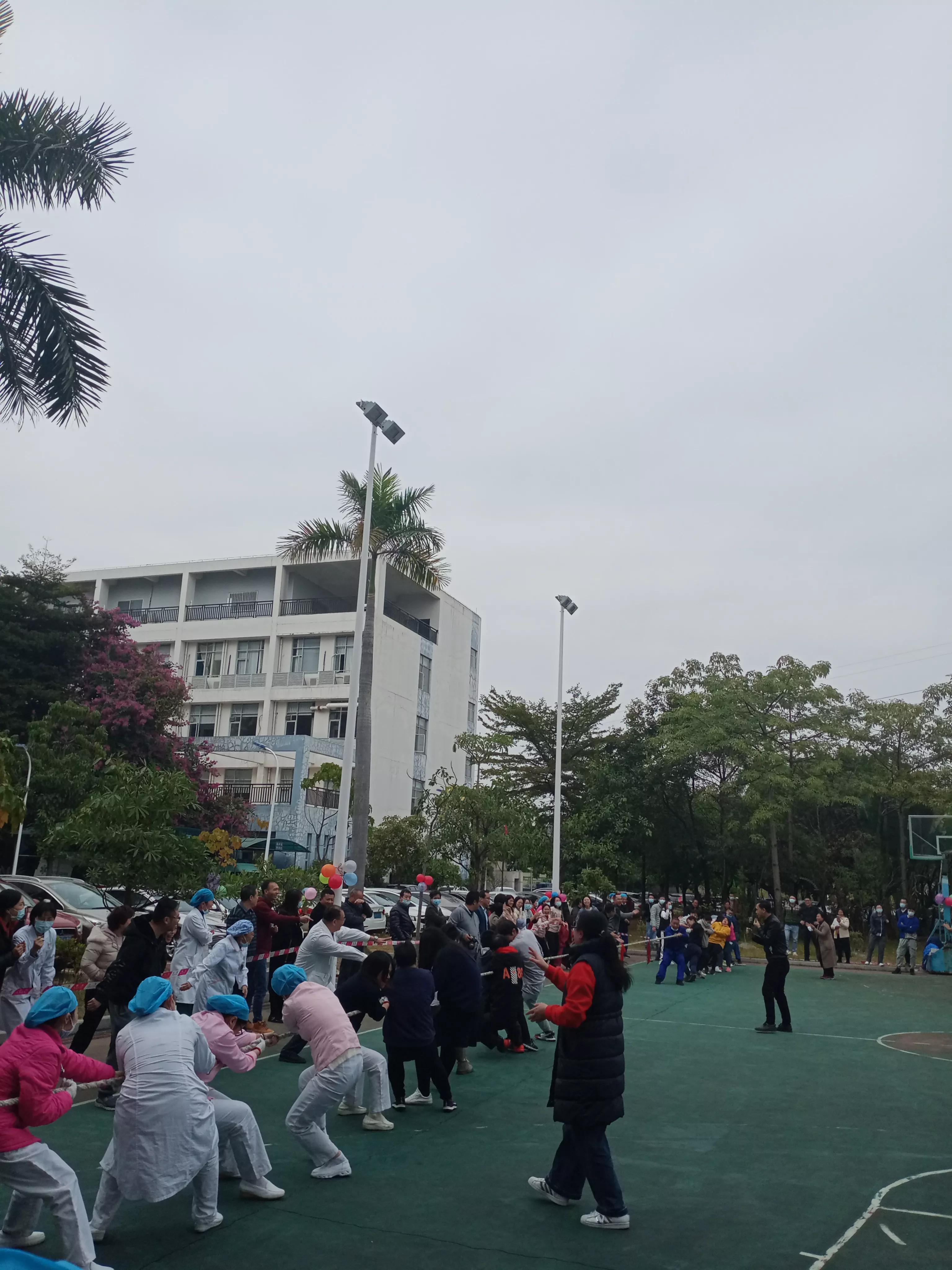 拔河比赛经历,那些年拔河