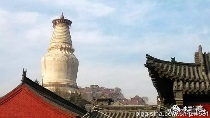 晋善晋美梅兰竹菊,晋善晋美山西行