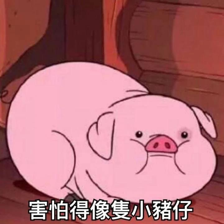 十二生肖属猪人的性格是什么样的,属猪人熬过低迷时期的生肖