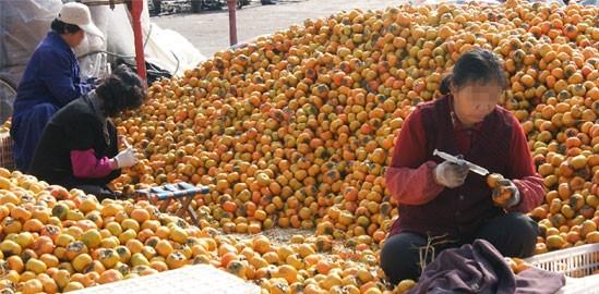 催熟剂有没有解药,催熟剂有害吗