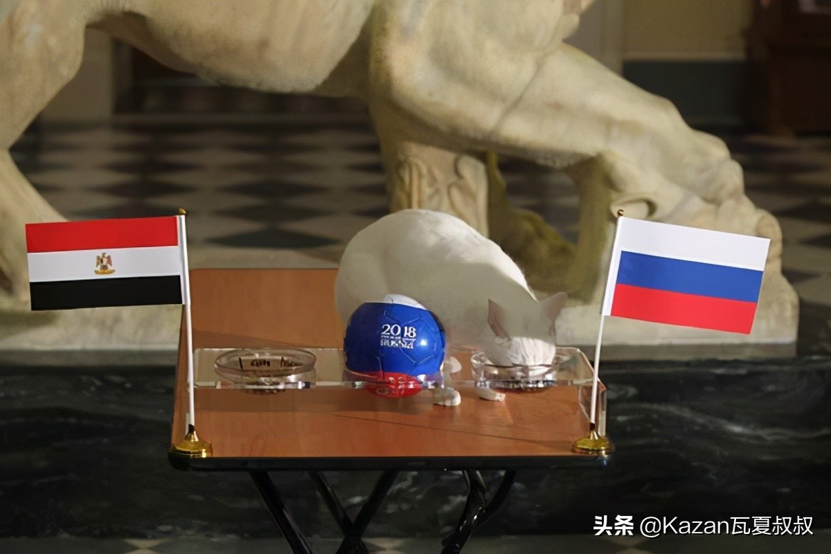 俄罗斯世界杯猫,俄罗斯最霸气的猫咪