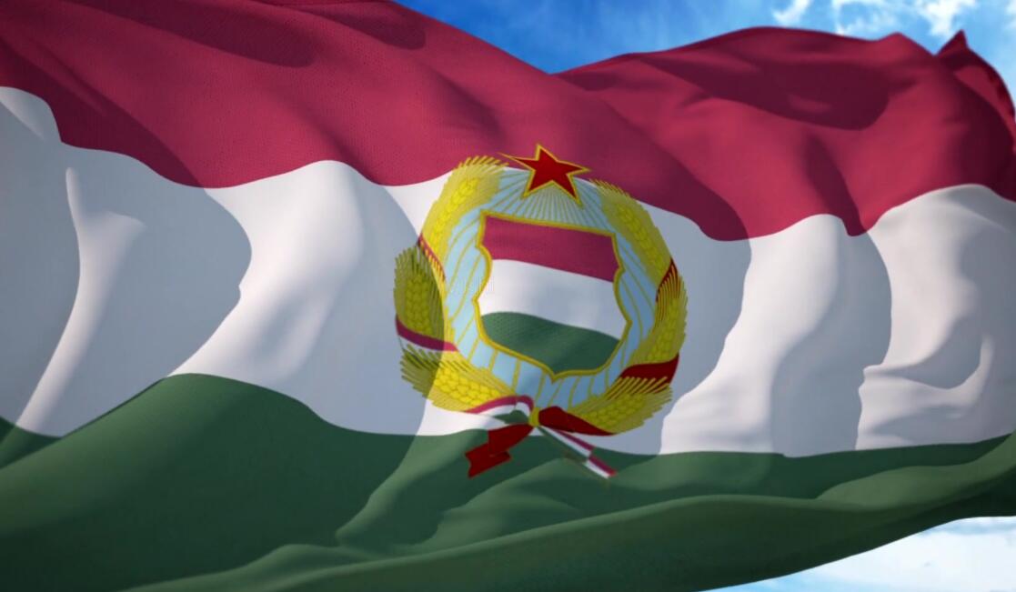 中国男足匈牙利教练,中国国家足球队原总教练