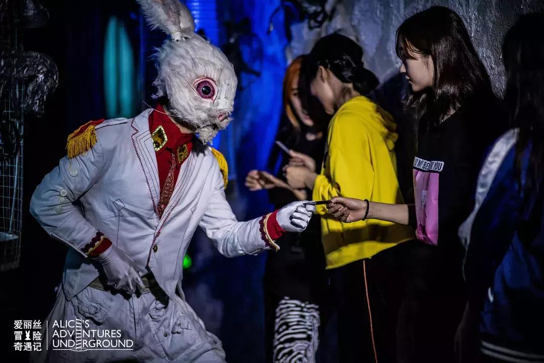 爱丽丝梦游仙境展演,爱丽丝冒险奇遇记演出上海