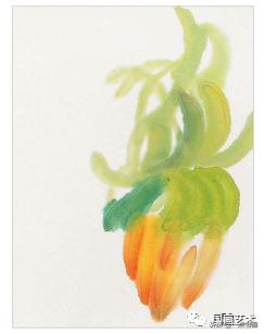 芭蕉叶画法教程,国画芭蕉画法视频