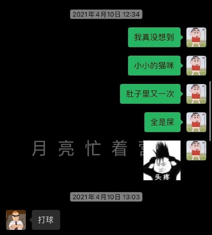 万万没想到被骗的这么惨，我们家猫怀了一肚子屎