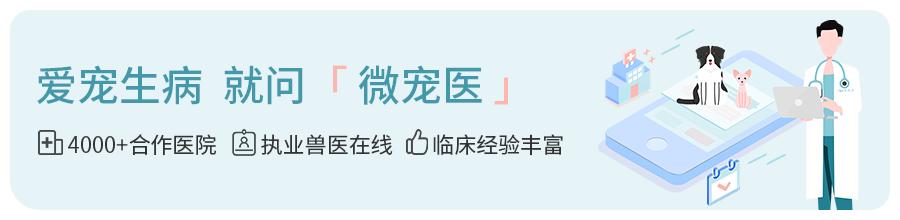 幼犬拉肚子是什么原因,幼犬拉肚子都有哪些原因