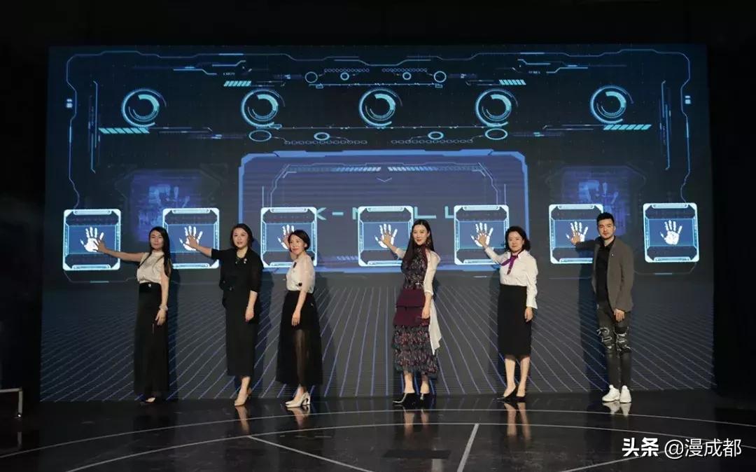 未来猫是什么品种,未来猫简介