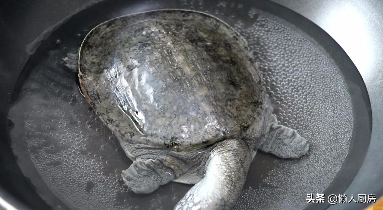 烧鱼籽鱼泡要焯水吗,甲鱼籽家常做法
