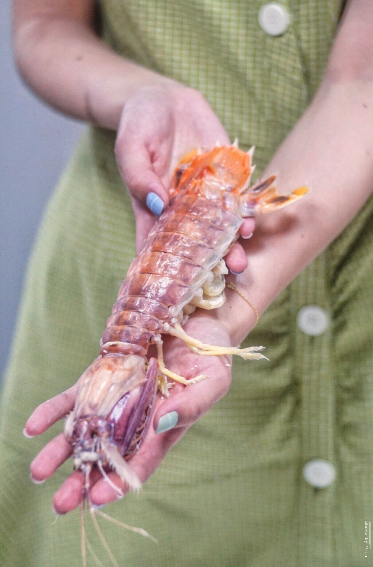 来来海鲜，旧店迁新址，老板直说我们家的菜都好吃，来过都想再来