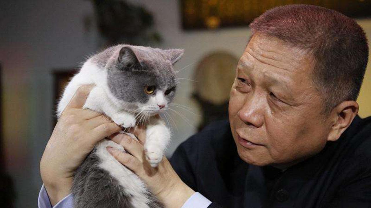 吸猫最高境界图片,吸猫最高境界完整视频