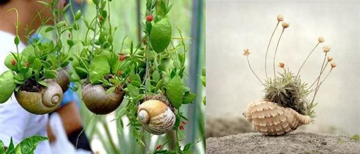 DIY自制花盆,让闲置品充满文艺气息