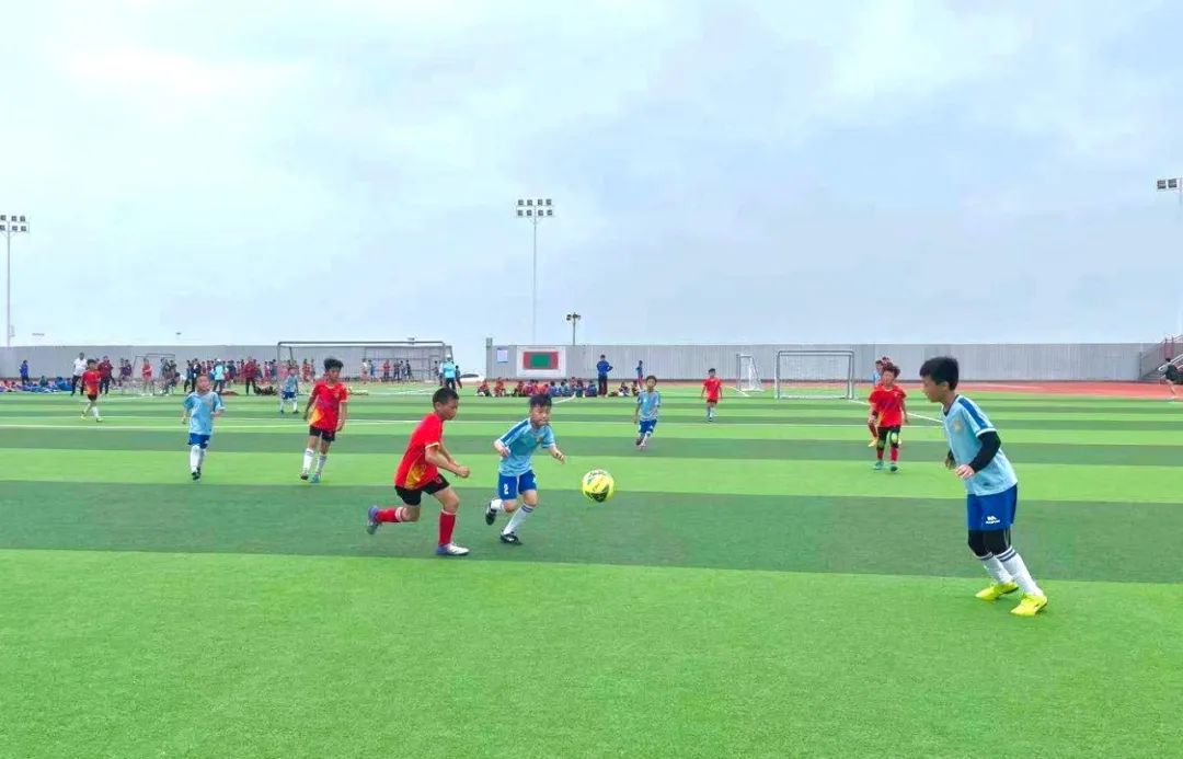 郑州市鹅坡武校,鹅坡武校和塔沟武校区别