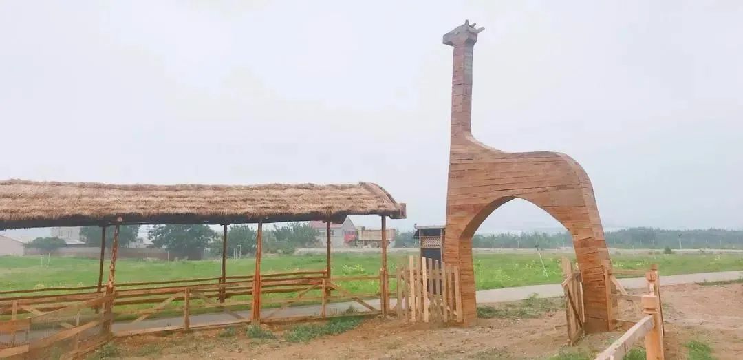 华酝牡丹园紫藤花,华酝牡丹园格桑花