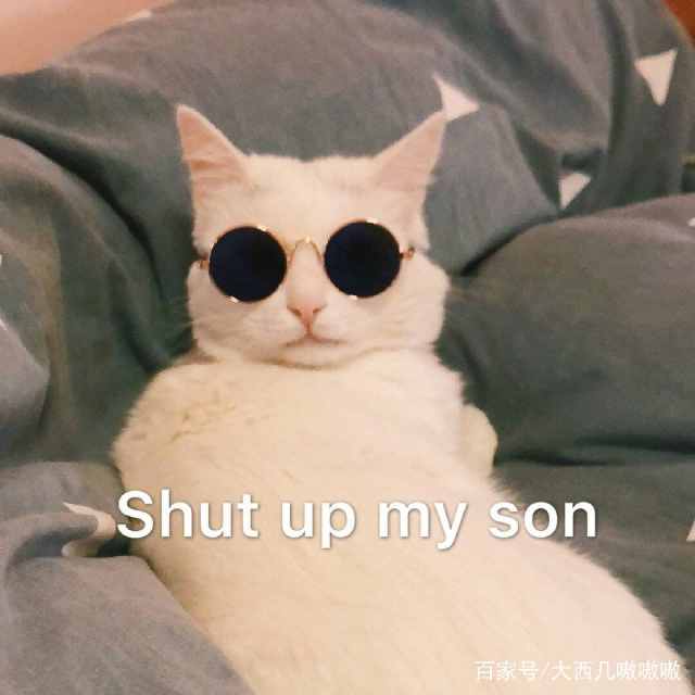 表情包我能怎么办,那我怎么办表情包可爱