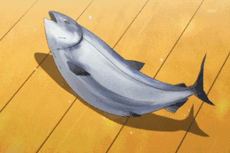 有没有必要吃很贵的dha,一瓶一瓶的dha