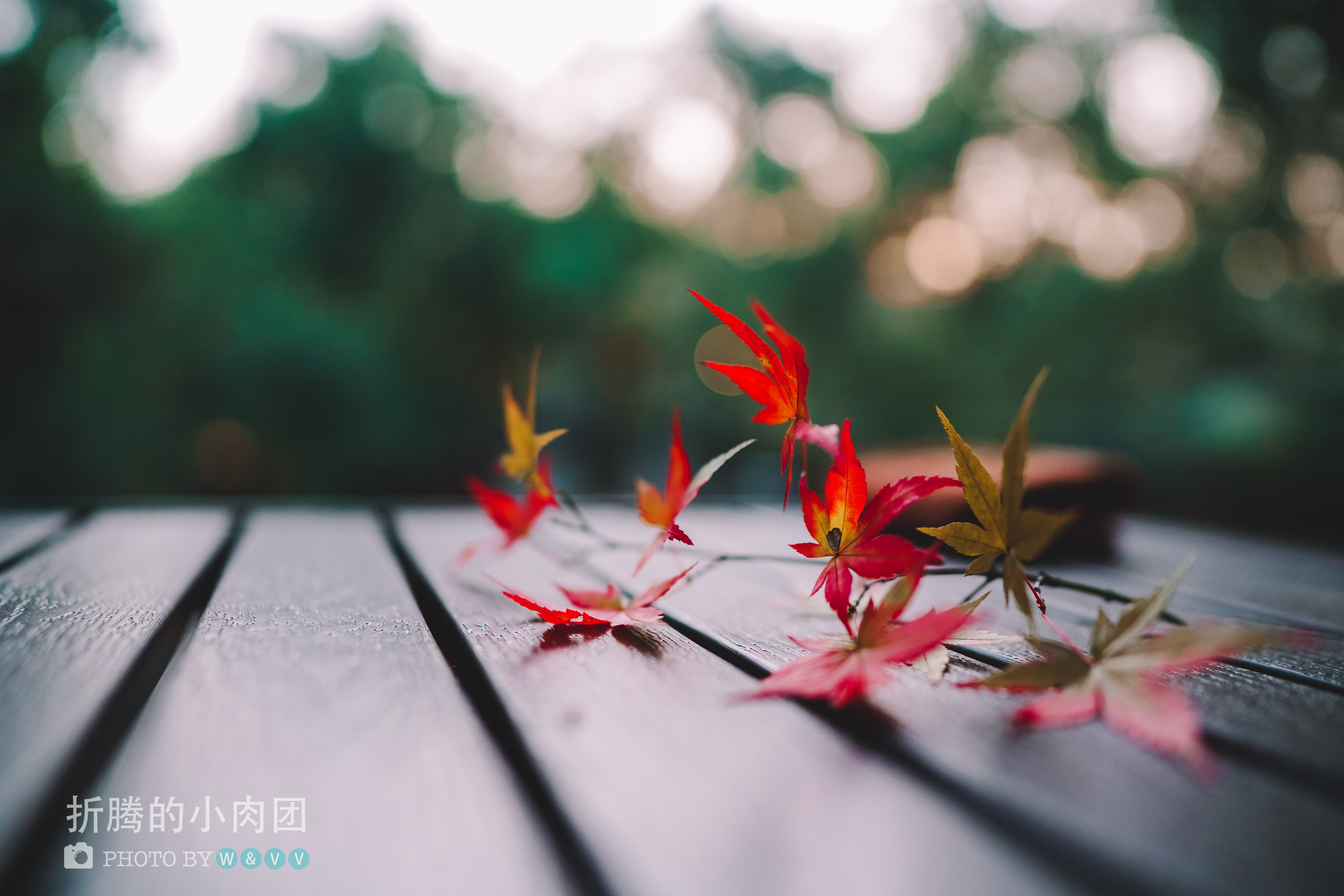 深度游玩杭州西湖,众人皆爱江南韵唯我独赏十二钗