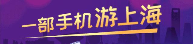 新晋网红打卡地池杉林,小红书网红打卡点