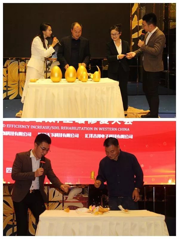 见效快的肥料有哪些,有什么肥料最好用的