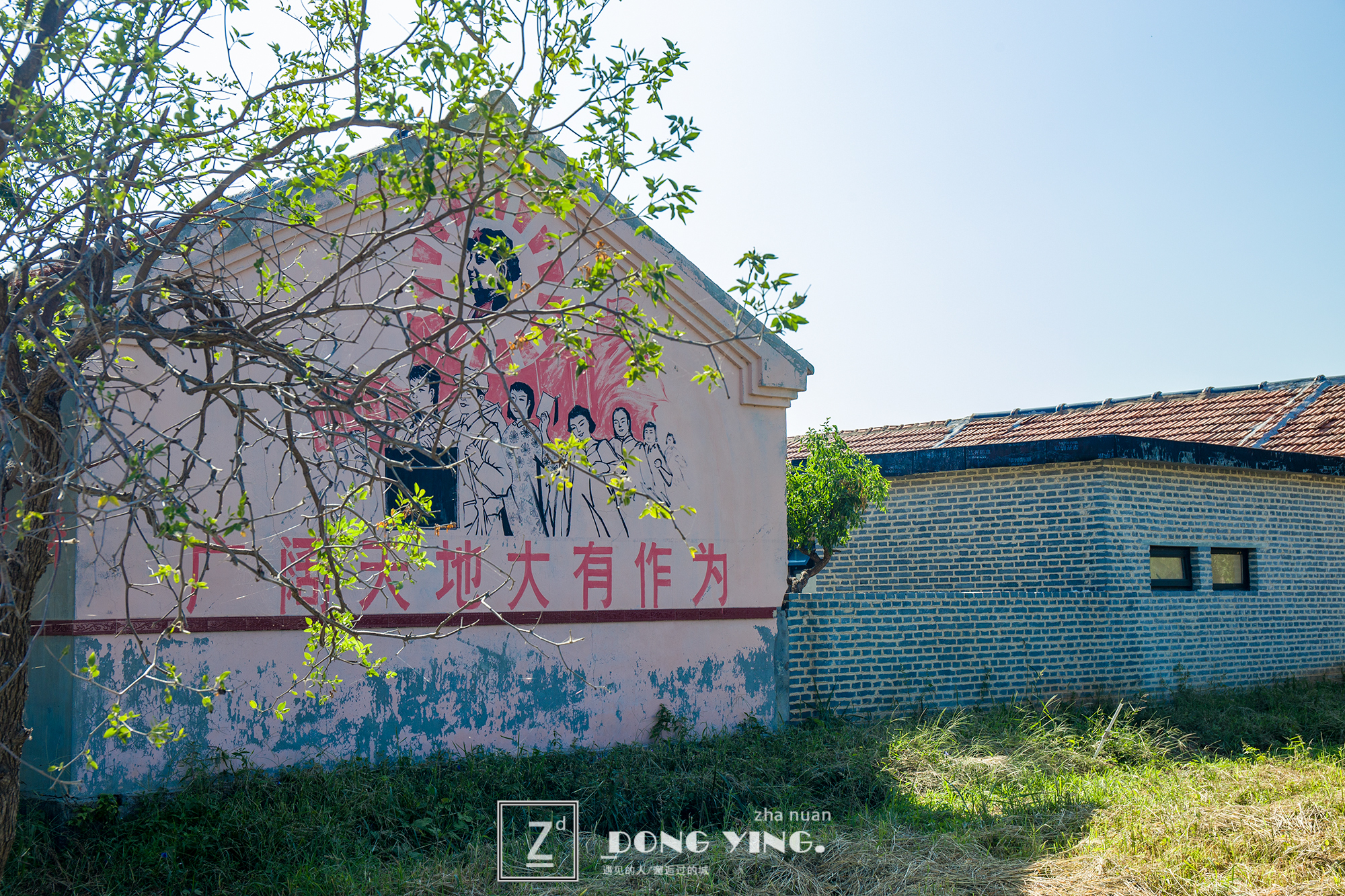 山东黄河入海城市,山东黄河去哪里看最壮观