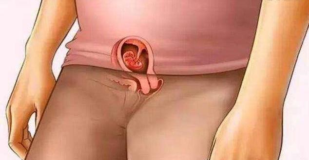 一到十月胎儿变化图,十月怀胎实际是几个月