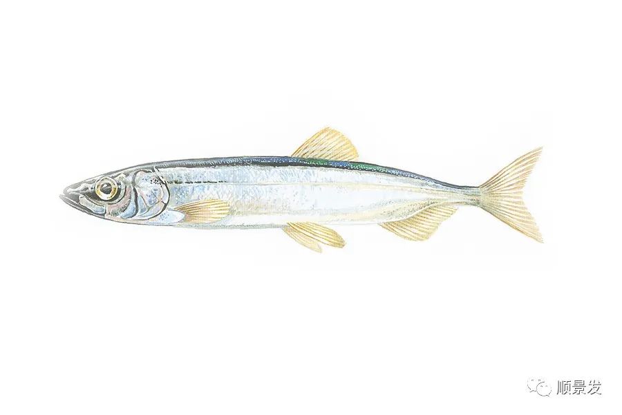 挪威和中国签订协议,挪威希望与中国加强合作