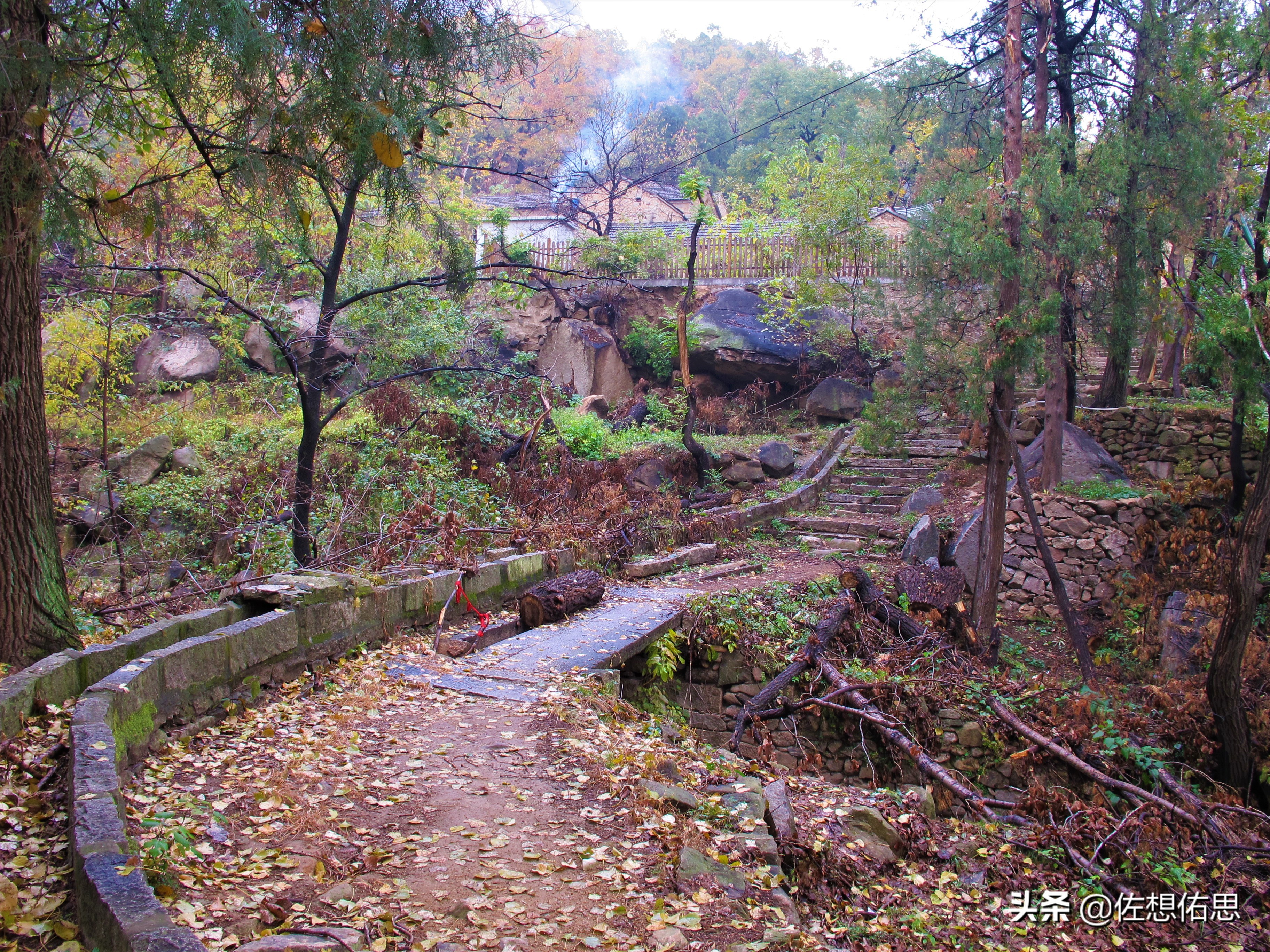 泰安扇子崖免门票吗,扇子崖门票多少钱