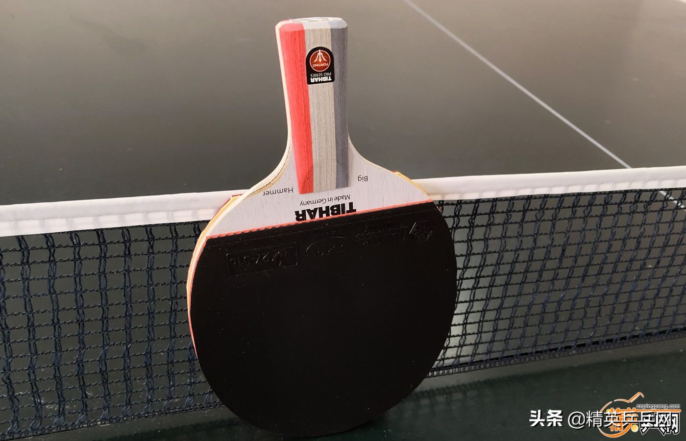 新纤维!新能量!萨姆索诺夫佛迪诺(Fortino)PRO终极甄选