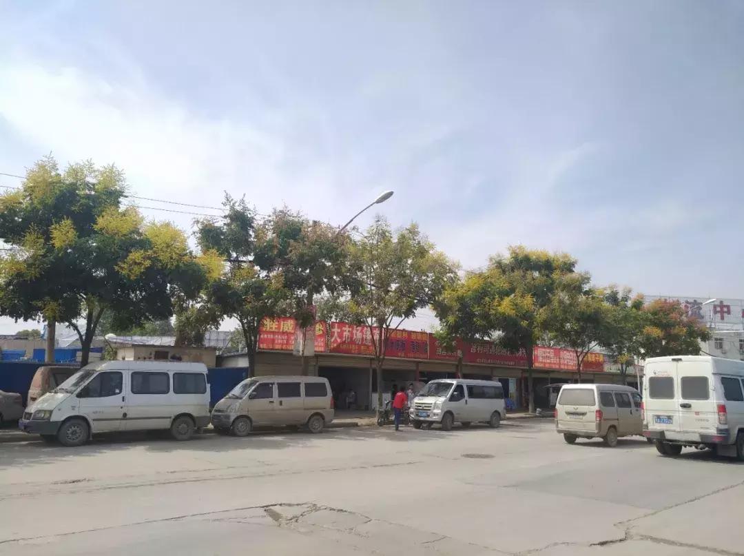 白沙洲告别篇:留汉大学生“首站”青菱新区