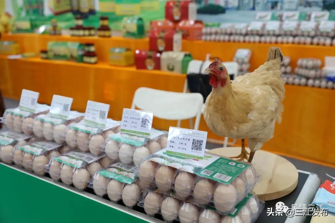 县长变身主播助力农产品销售,县长变身主播推销农特产品