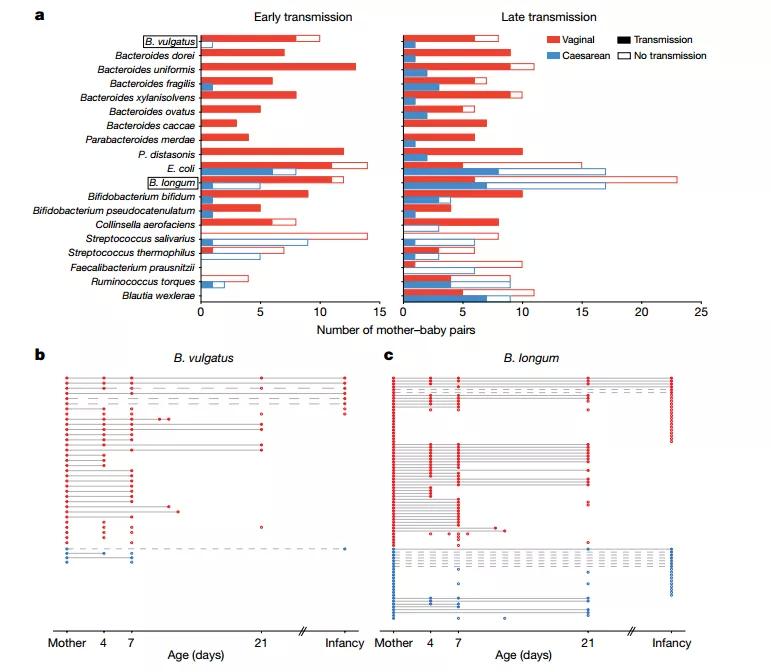Nature发表迄今最大规模研究表明,分娩方式是影响婴儿肠道菌群构成的主要原因