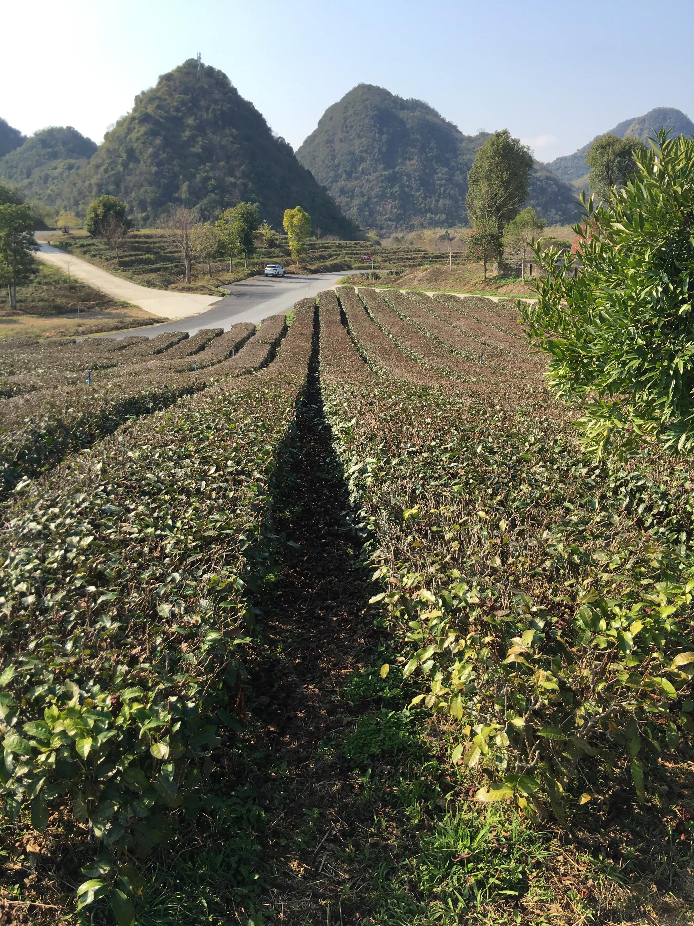 一个人2月14号～17号开小改明锐做床车，连南阳山仁化自驾