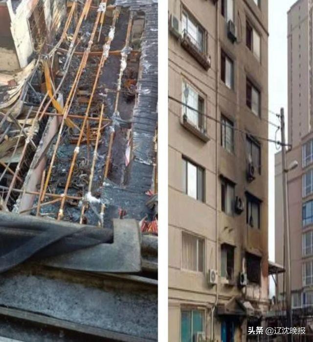 马蜂被蜇怎么办,被马蜂攻击找马蜂最好方法