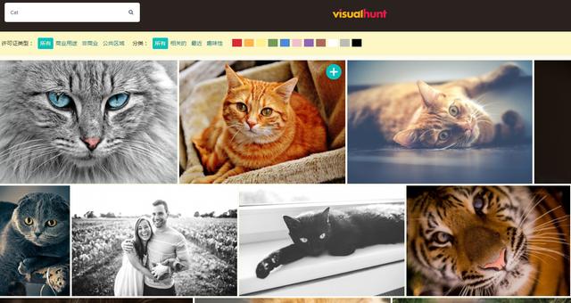 教师用的网站有哪些,教师要收藏的几个网站